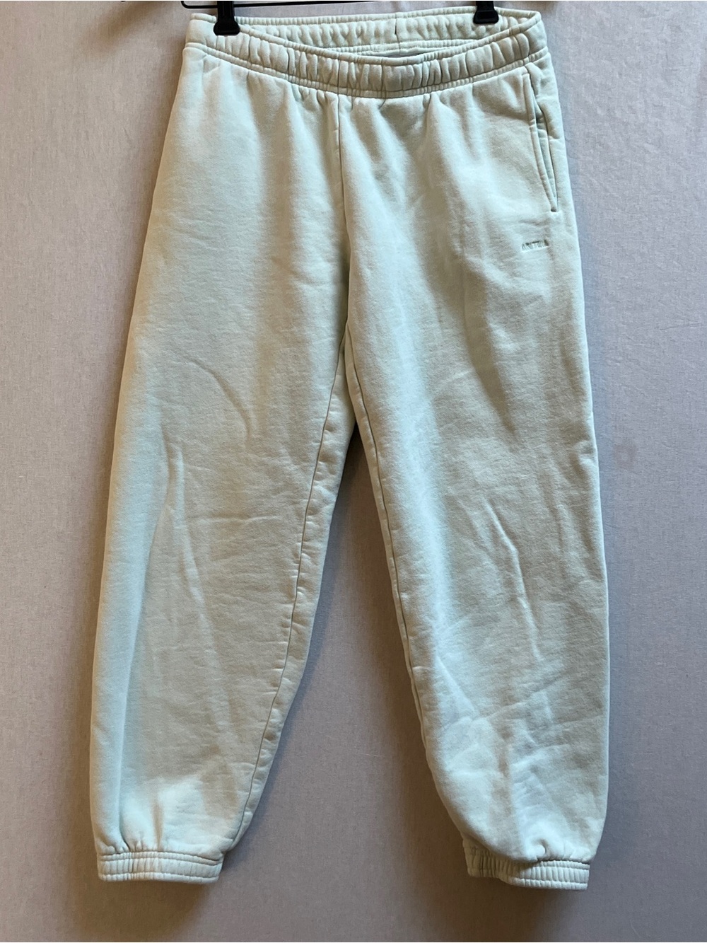 Aritzia Cozy Fleece Sweatfleece Joggers Womens Size Extra Small Light Green
